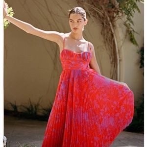 Hutch Amara Floral Bustier Pleated Fit & Flare Dress